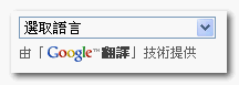 Google 網站翻譯工具